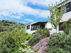 Hotel Traditional Luxury House In Pelion "Erato" cazare Argalasti