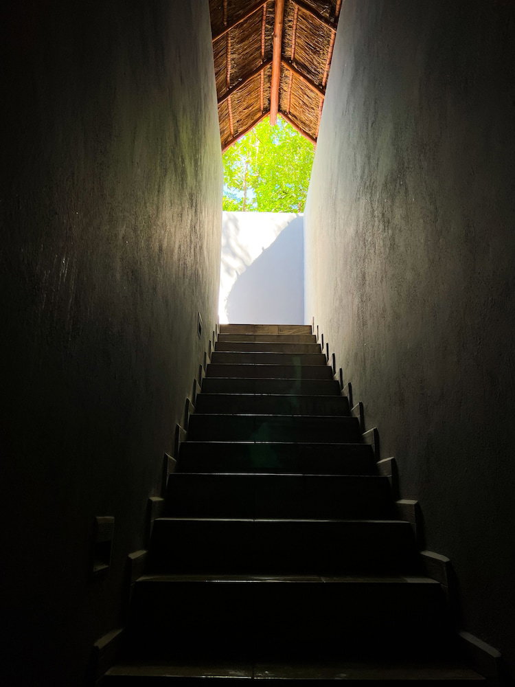 Kuun Taak Tulum