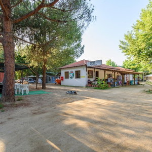 Hotel Camping Pitsoni cazare Sykia