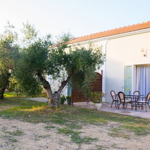 Hotel Olive Trees Garden Lixouri cazare Lixouri