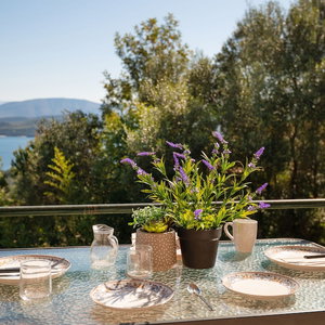 Hotel Agrili In Corfu With 2 Bedrooms And 1 Bathrooms cazare Kassiopi