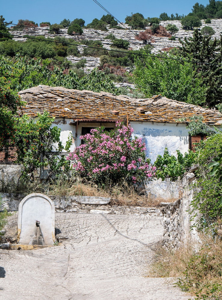 Hotel Theros Easy Living