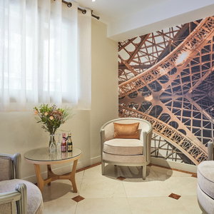 Sejur Beaugrenelle Tour Eiffel vacanta Vanves