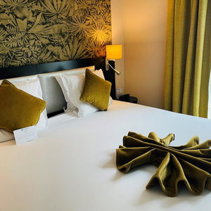 Sejur Best Western Allegro Nation vacanta Saint-Haon-le-Chatel