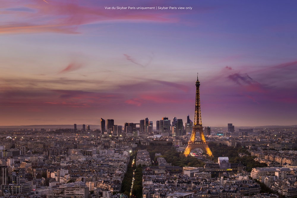 Hotel Pullman Paris Montparnasse Hotel