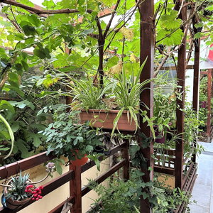 Hotel L'oasis Montparnasse cazare Plaisance