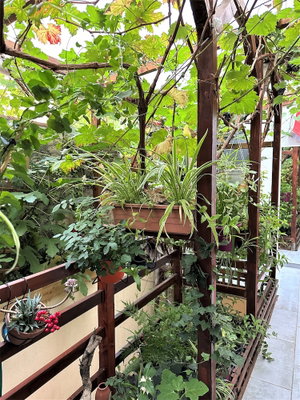 Hotel L'oasis Montparnasse cazare Plaisance