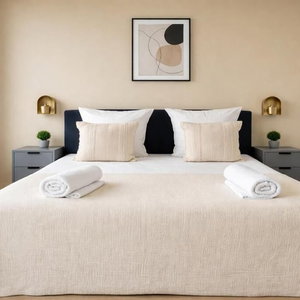 Hotel Magnifique 2 Pieces A Issy Lesmoulineaux cazare Issy-les-Moulineaux