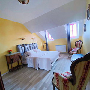 Hotel La Rose Du Château cazare Lourdes