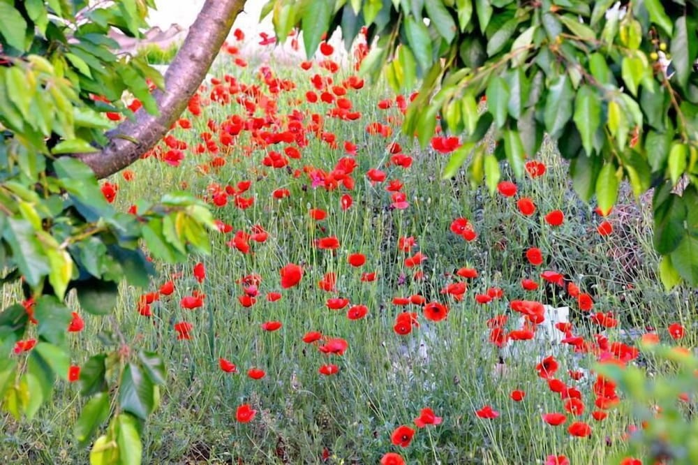 Studios Kostas And Despina
