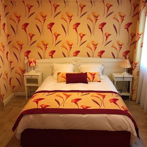 Hotel Les Wyllows cazare Thieblemont-Faremont