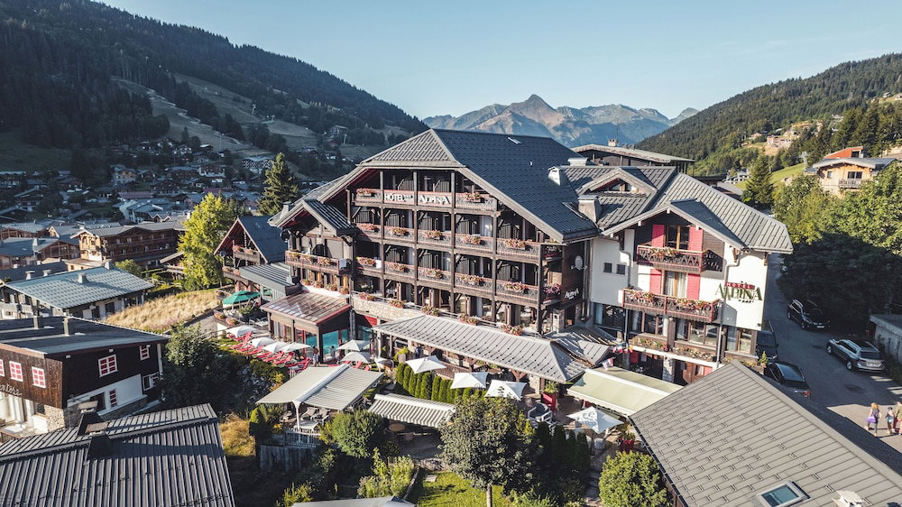 Hotel Hôtel Alpina