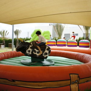 Hotel Playa Oliva cazare Oliva