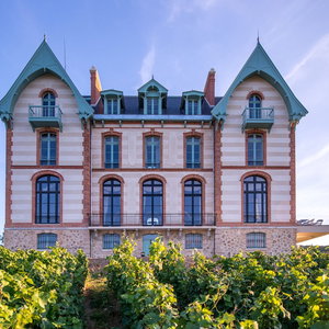 Hotel Château De Sacy cazare Sacy-le-Petit
