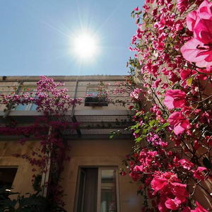Hotel La Moresca - Maison De Charme cazare Ragusa