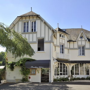 Hotel Pavillon Bleu cazare Olivet