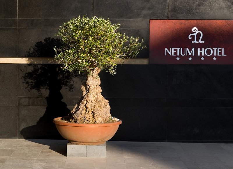 Hotel Hotel Netum