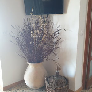 Hotel A Caserella cazare San-Giuliano
