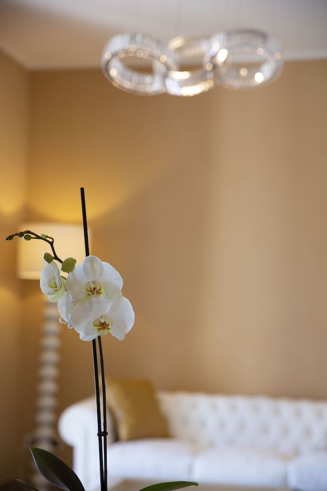 Aurum Suites