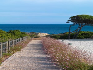 Hotel Vila Alba Resort cazare Carvoeiro