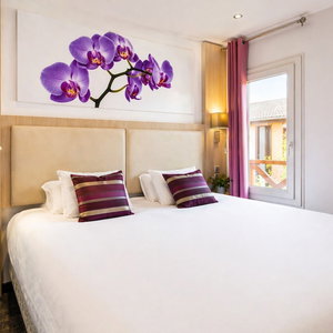 Hotel Fh Confort Arena cazare Olivet