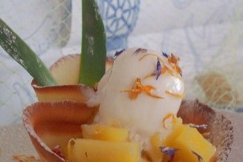 Hotel Hotel Amalfi Riccione