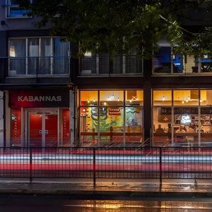 Sejur Yha London St Pancras vacanta Londra