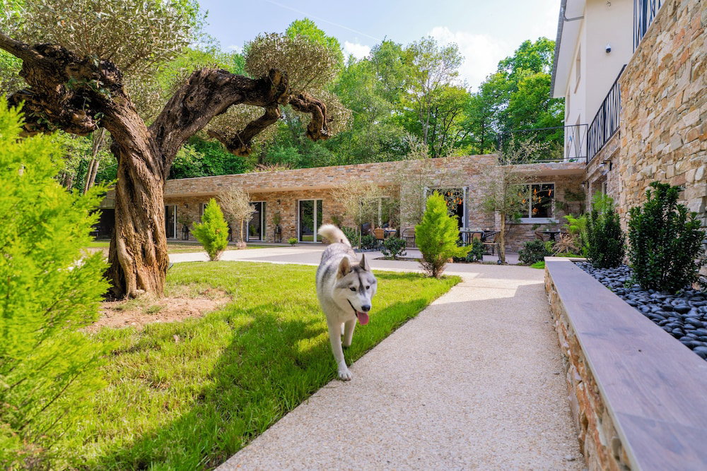Hotel Chanelya