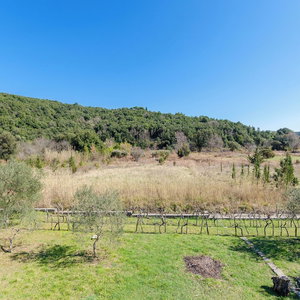 Hotel Apartments Vesna cazare Rab