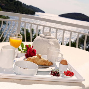 Hotel Hotel Villa Telenta cazare Vela Luka