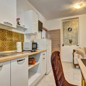Hotel Lovely Relaxing Studio With Terrace cazare Valbandon