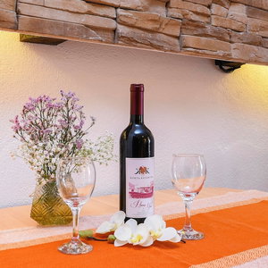Hotel Apartments Vida With Garden cazare Orebic