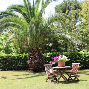 Hotel Apartments Nicole 2 cazare Pula