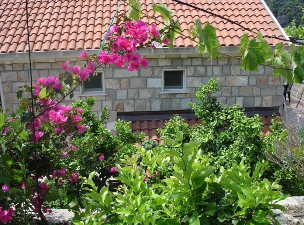 Hotel Villa Azure Saplunara