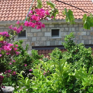 Hotel Villa Azure Saplunara cazare Zaton Doli
