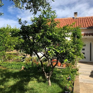 Hotel Schöne Ferienwohnung Mit Terrasse, Roses cazare Osljak