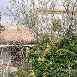 Hotel Apartments Rudi cazare Novi Vinodolski