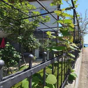 Hotel Apartments Pintar cazare Novigrad