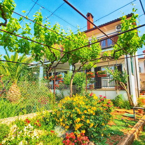 Hotel Apartements Antonia 1208 cazare Medulin