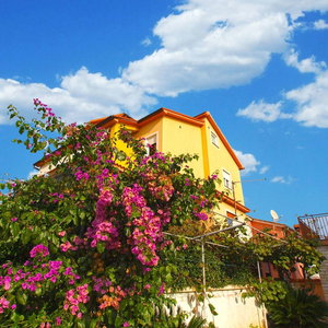 Hotel Apartment 1200 cazare Fazana