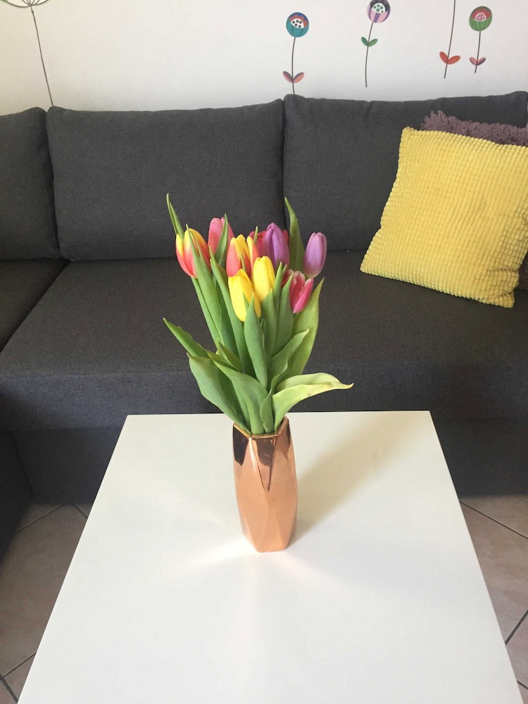 Hotel Apartments Roko