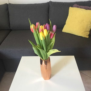 Hotel Apartments Roko cazare Jesenice