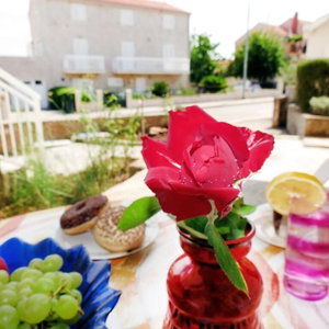 Hotel Apartment Jadro cazare Supetarska Draga