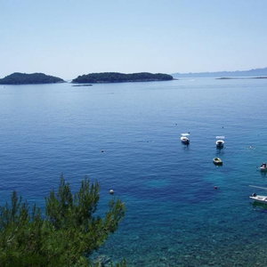 Hotel Apartments Desa cazare Blato