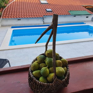 Hotel Apartment Kova cazare Starigrad