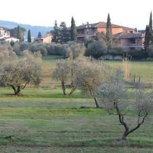 Hotel Querceto B&B cazare Sesto Fiorentino