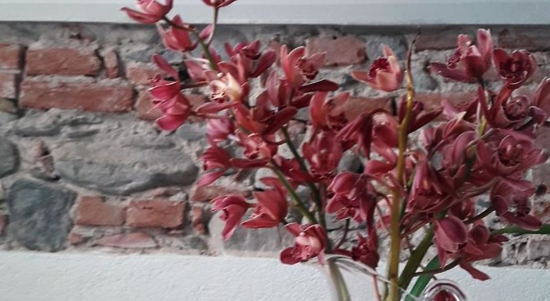 Hotel Langhe Di Liguria B&B