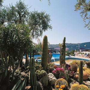 Sejur Hotel Terme Providence vacanta Forio