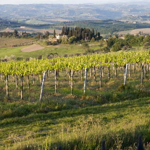 Hotel Villa Ducci cazare San Gimignano