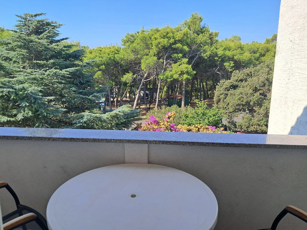 Hotel Apartment Family Ribicic